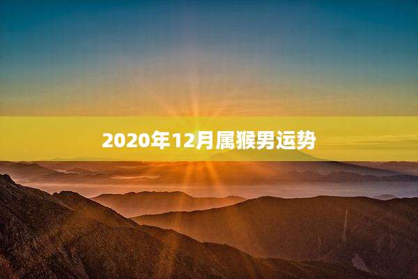 2020年12月属猴男运势