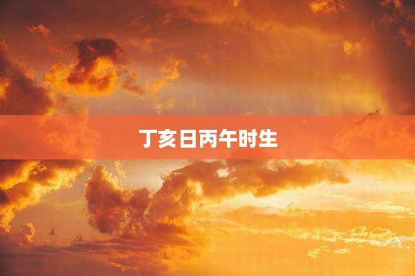 丁亥日丙午时生