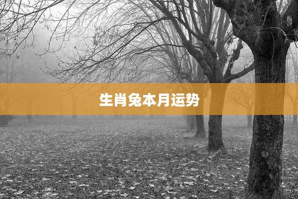 生肖兔本月运势