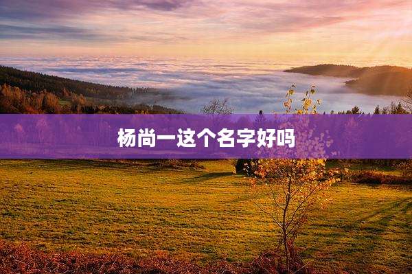 杨尚一这个名字好吗