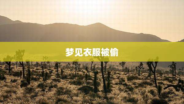 梦见衣服被偷