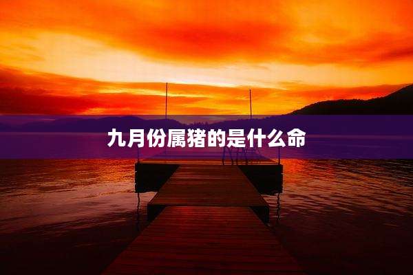 九月份属猪的是什么命