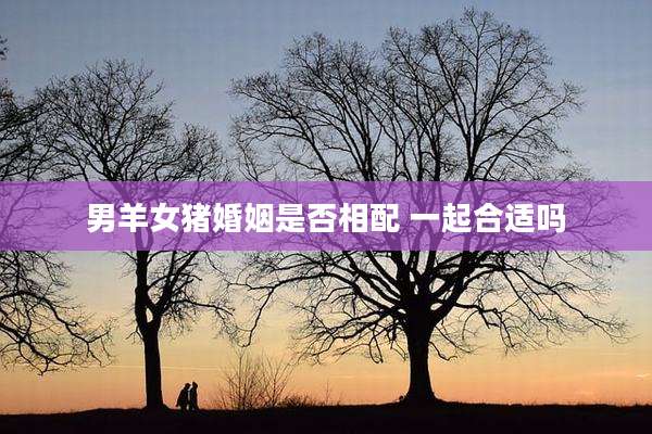 男羊女猪婚姻是否相配 一起合适吗