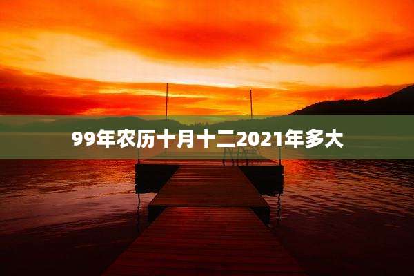 99年农历十月十二2021年多大