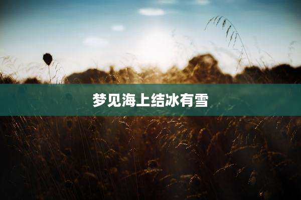 梦见海上结冰有雪