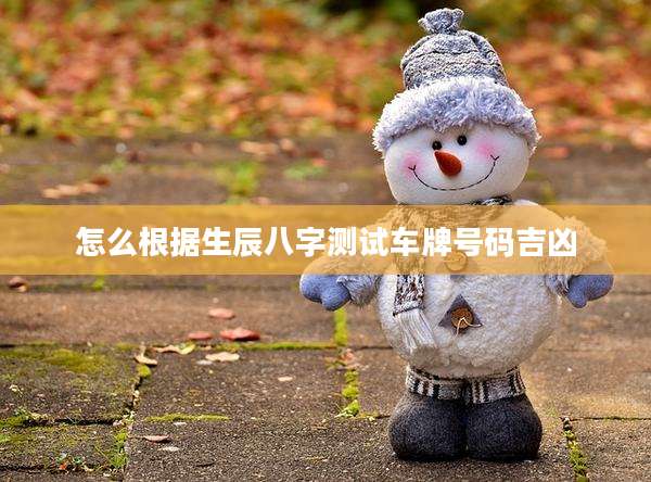 怎么根据生辰八字测试车牌号码吉凶