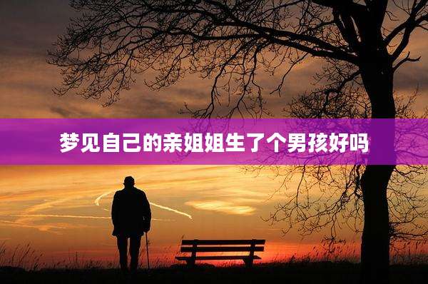 梦见自己的亲姐姐生了个男孩好吗