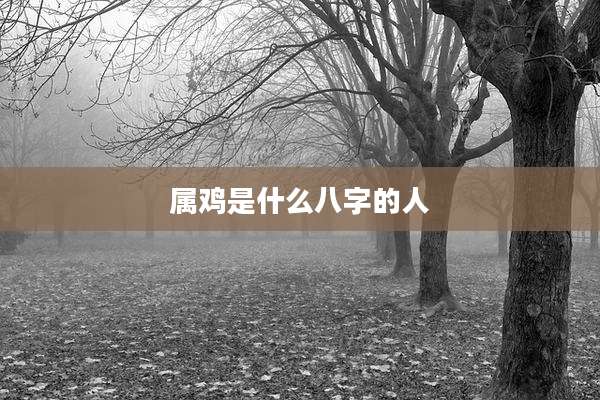 属鸡是什么八字的人