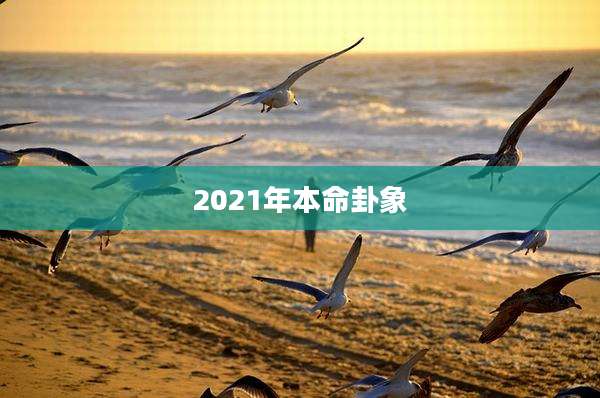 2021年本命卦象