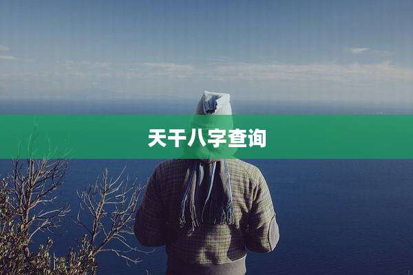 天干八字查询