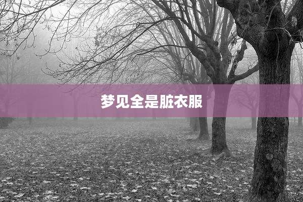 梦见全是脏衣服