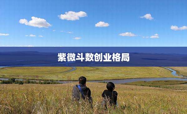 紫微斗数创业格局