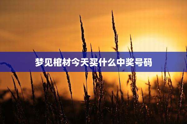 梦见棺材今天买什么中奖号码