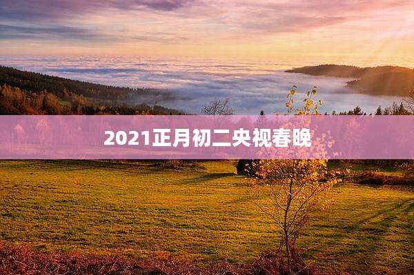 2021正月初二央视春晚
