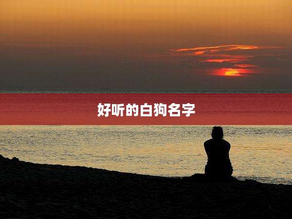 好听的白狗名字