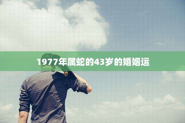 1977年属蛇的43岁的婚姻运