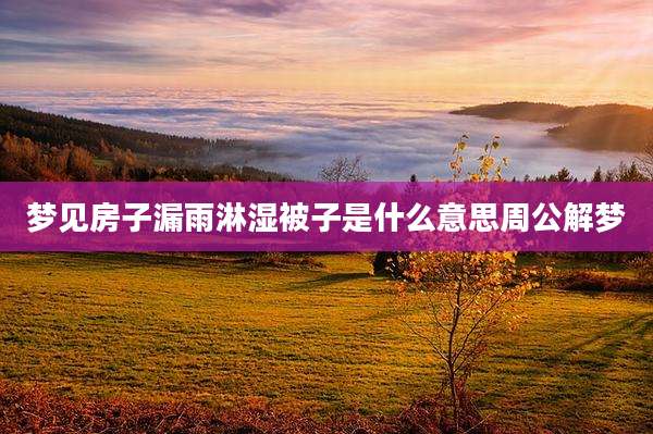 梦见房子漏雨淋湿被子是什么意思周公解梦