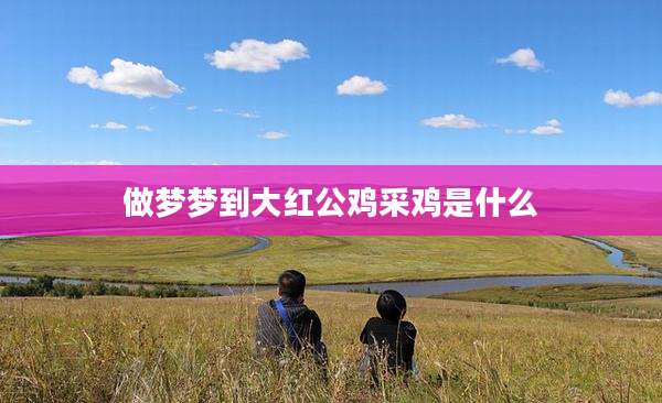做梦梦到大红公鸡采鸡是什么