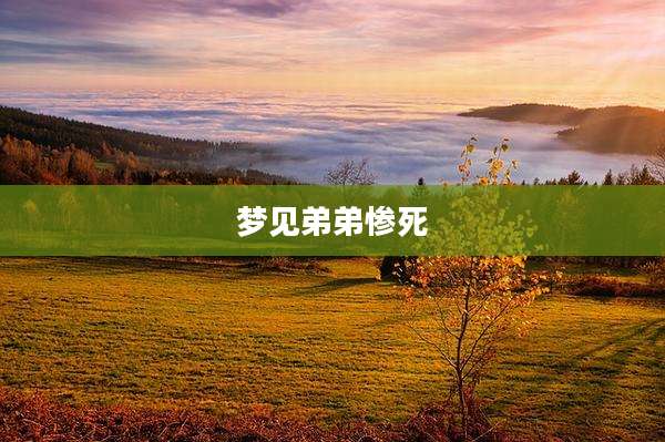 梦见弟弟惨死