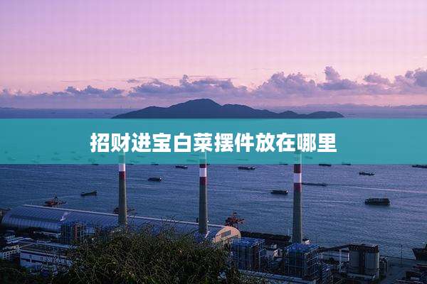 招财进宝白菜摆件放在哪里