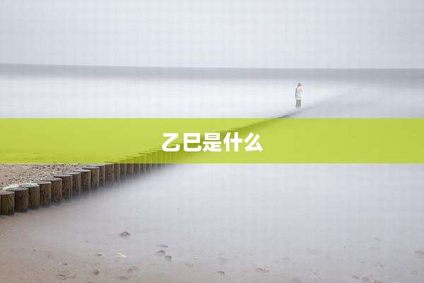 乙巳是什么