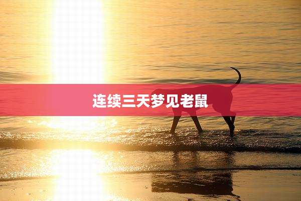 连续三天梦见老鼠