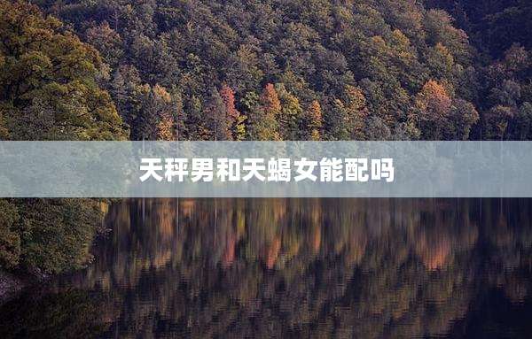 天秤男和天蝎女能配吗
