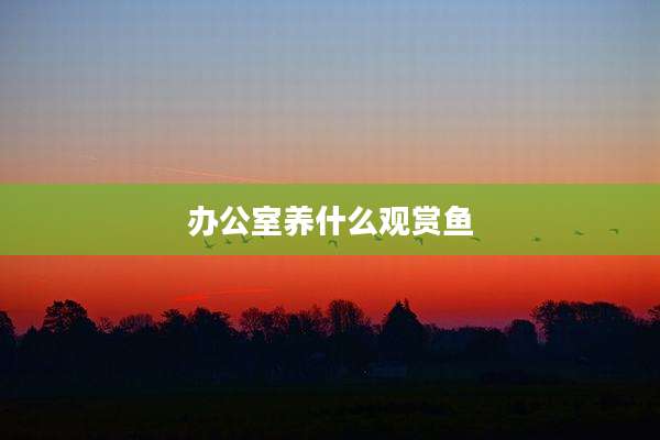 办公室养什么观赏鱼