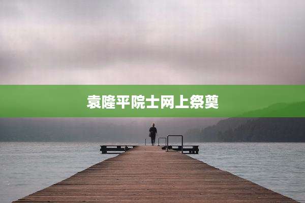 袁隆平院士网上祭奠