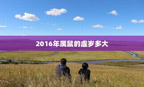 2016年属鼠的虚岁多大