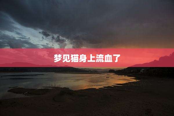 梦见猫身上流血了