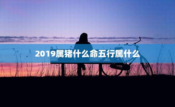 2019属猪什么命五行属什么