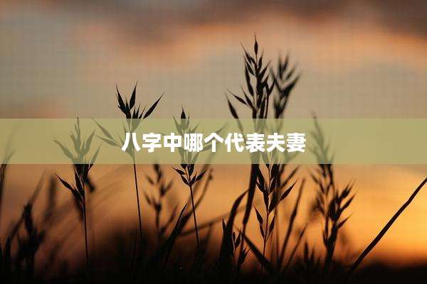 八字中哪个代表夫妻