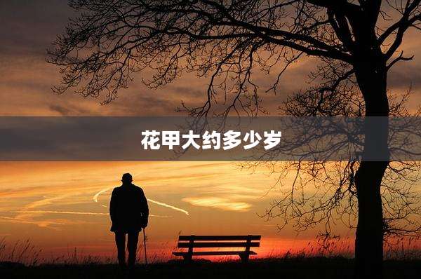 花甲大约多少岁
