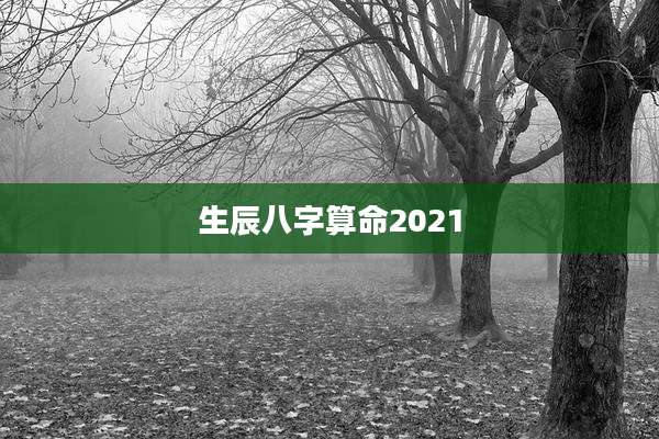 生辰八字算命2021