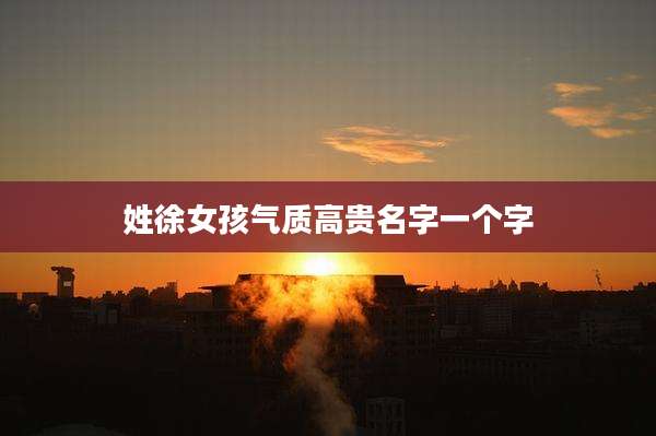 姓徐女孩气质高贵名字一个字