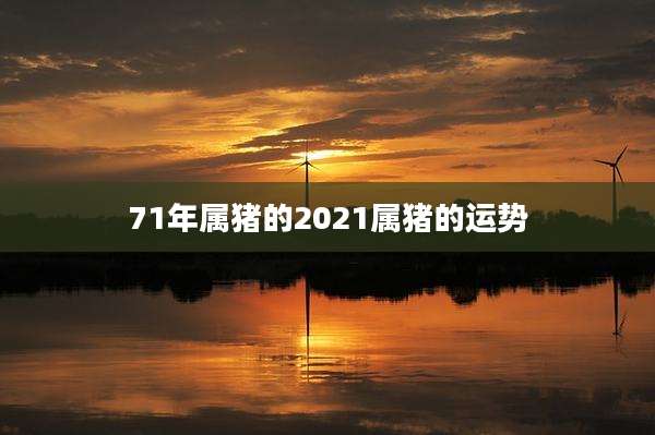 71年属猪的2021属猪的运势
