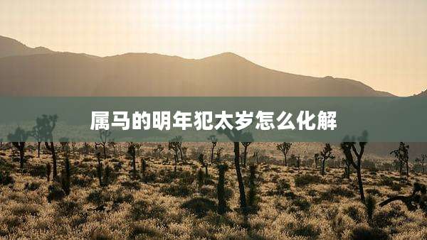 属马的明年犯太岁怎么化解