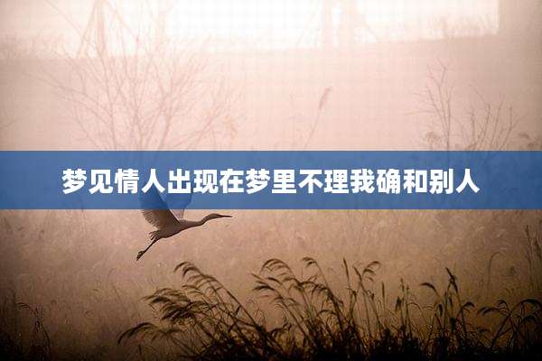 梦见情人出现在梦里不理我确和别人