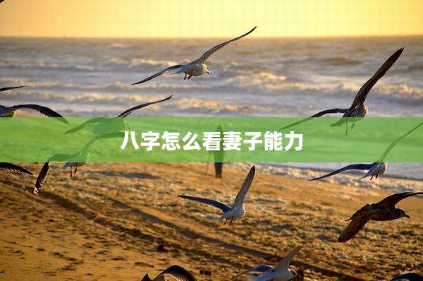 八字怎么看妻子能力