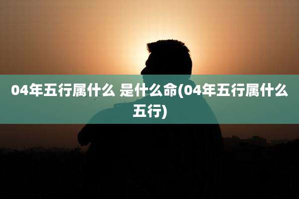 04年五行属什么 是什么命(04年五行属什么五行)
