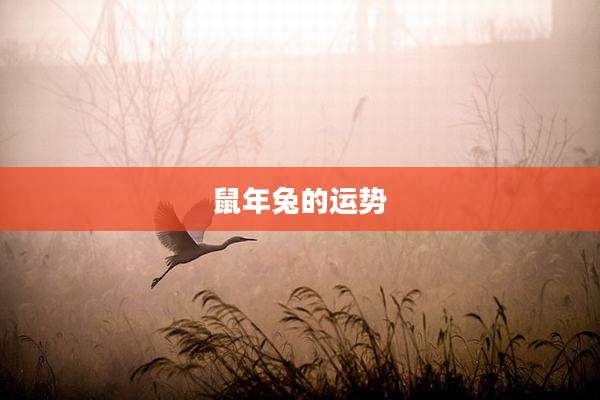 鼠年兔的运势
