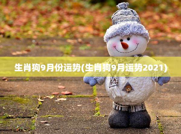 生肖狗9月份运势(生肖狗9月运势2021)