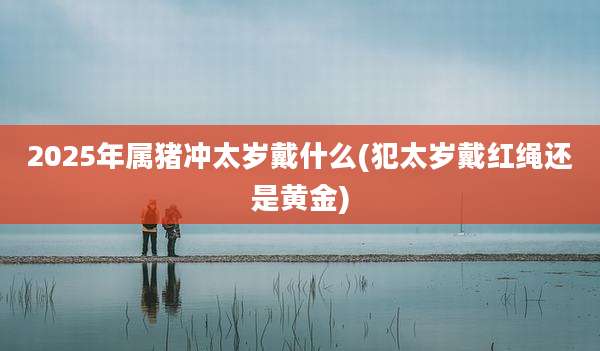2025年属猪冲太岁戴什么(犯太岁戴红绳还是黄金)