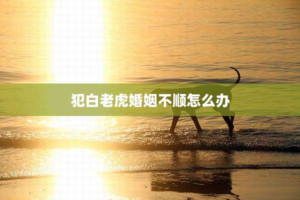 犯白老虎婚姻不顺怎么办
