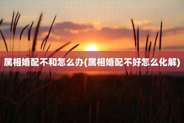 属相婚配不和怎么办(属相婚配不好怎么化解)