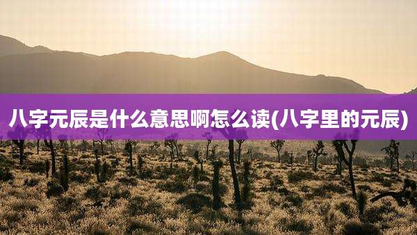 八字元辰是什么意思啊怎么读(八字里的元辰)