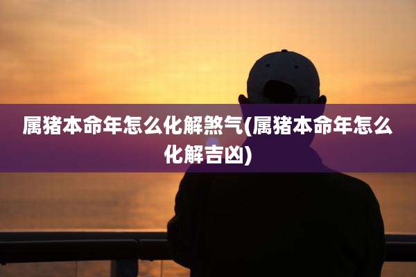 属猪本命年怎么化解煞气(属猪本命年怎么化解吉凶)
