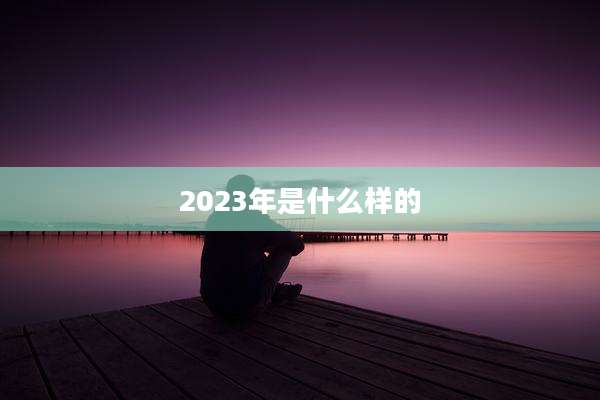 2023年是什么样的