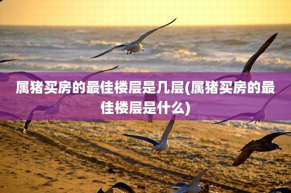 属猪买房的最佳楼层是几层(属猪买房的最佳楼层是什么)